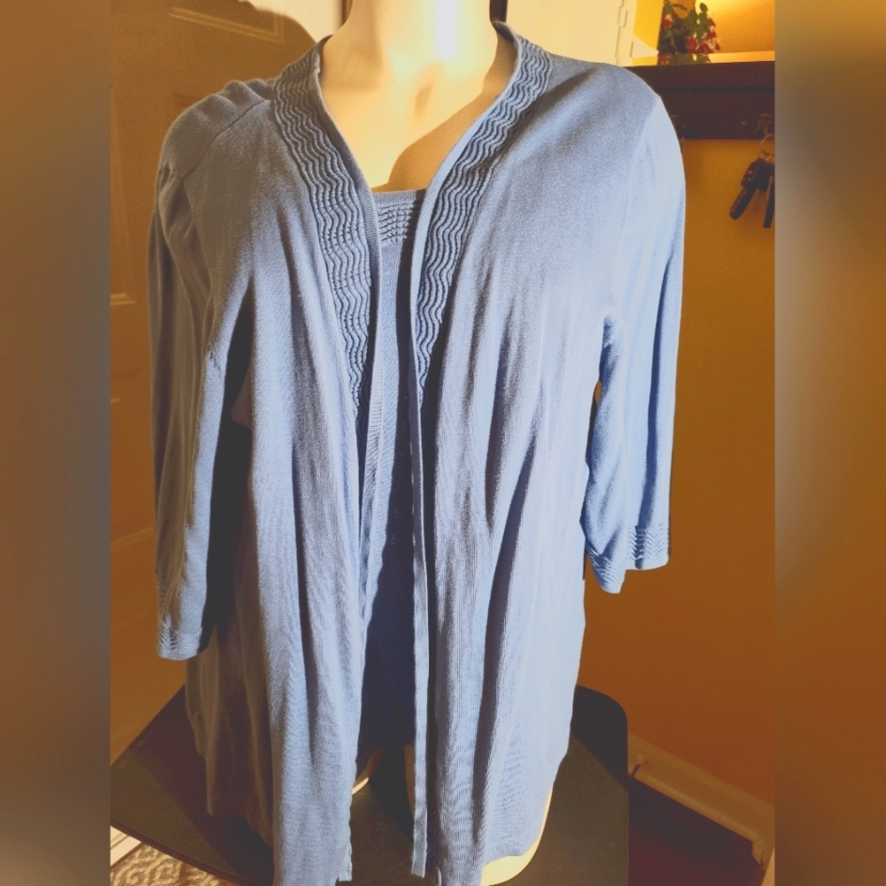 Baby blue sweater twin set Liz and Me. 4X